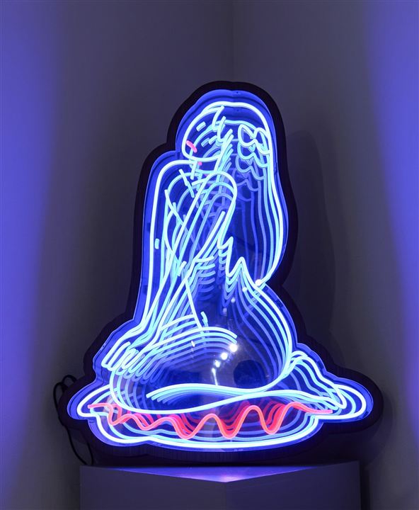 Venus in mirror